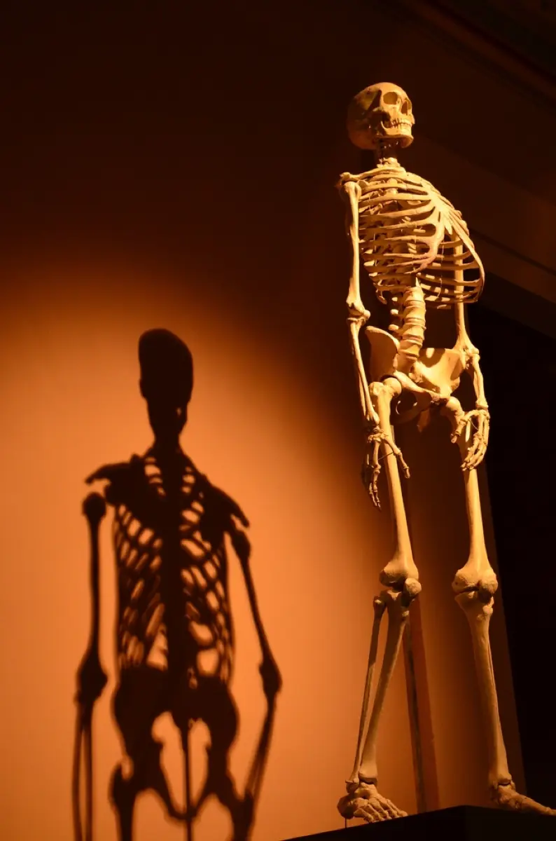 Hot Spots on a Bone Scan: What Increased Uptake on Bone Scintigraphy Means